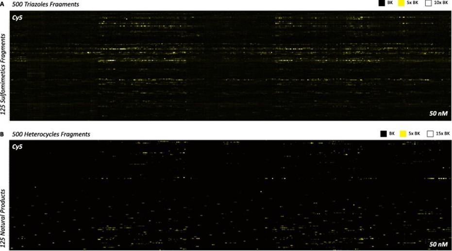 Microarray using 6X HIS DyLight 649